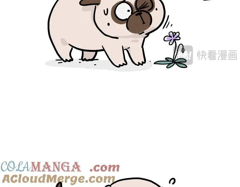 第417话 帅哥你谁 第31页