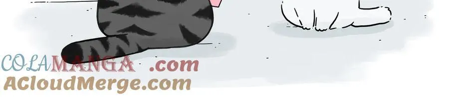 第422话 永远号 第16页