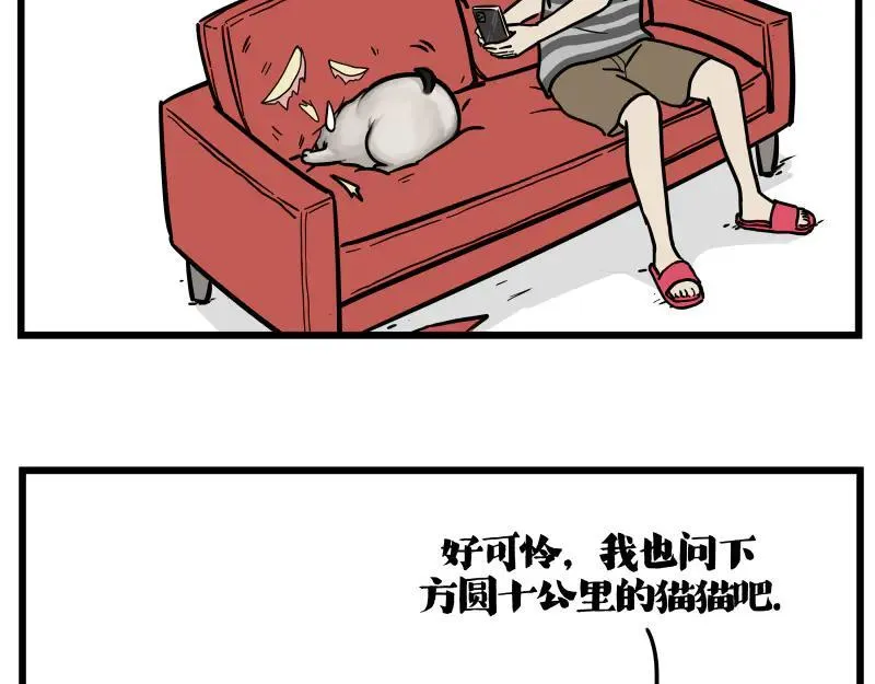 第423话 卡沙不拦卡 第12页