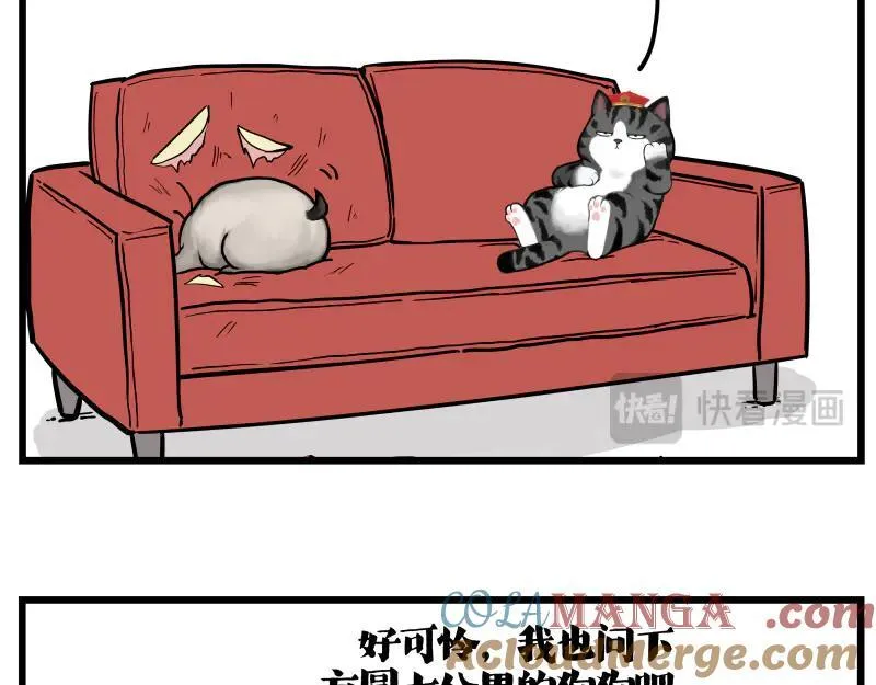 第423话 卡沙不拦卡 第13页