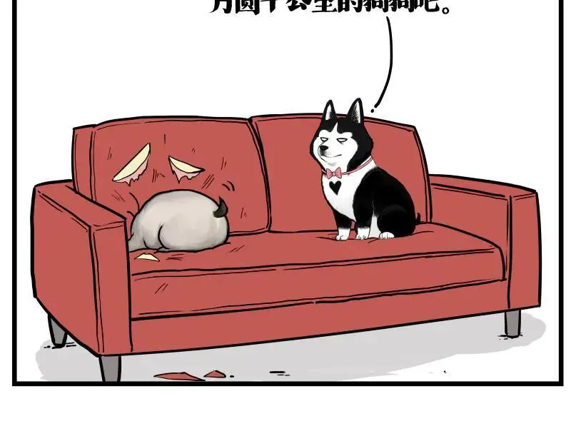 第423话 卡沙不拦卡 第14页