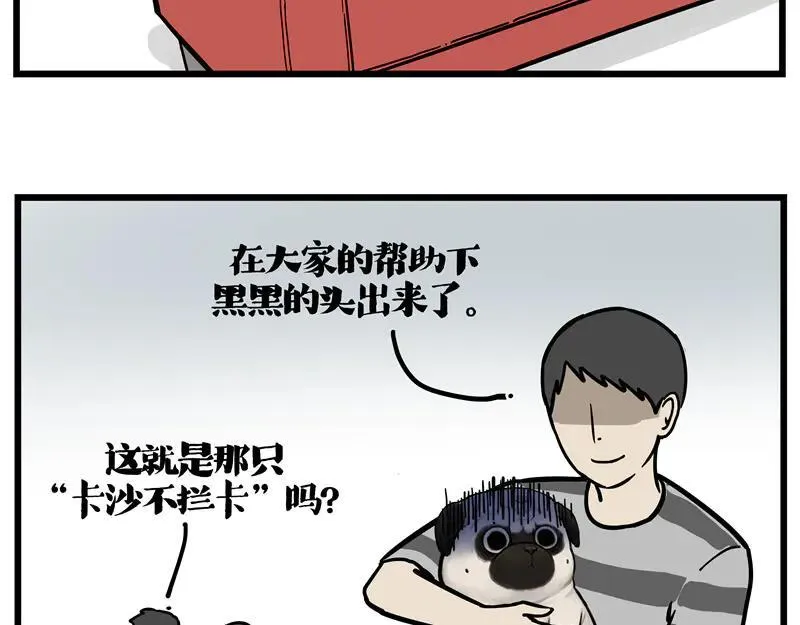 第423话 卡沙不拦卡 第18页