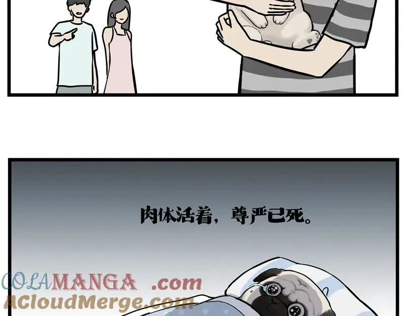 第423话 卡沙不拦卡 第19页