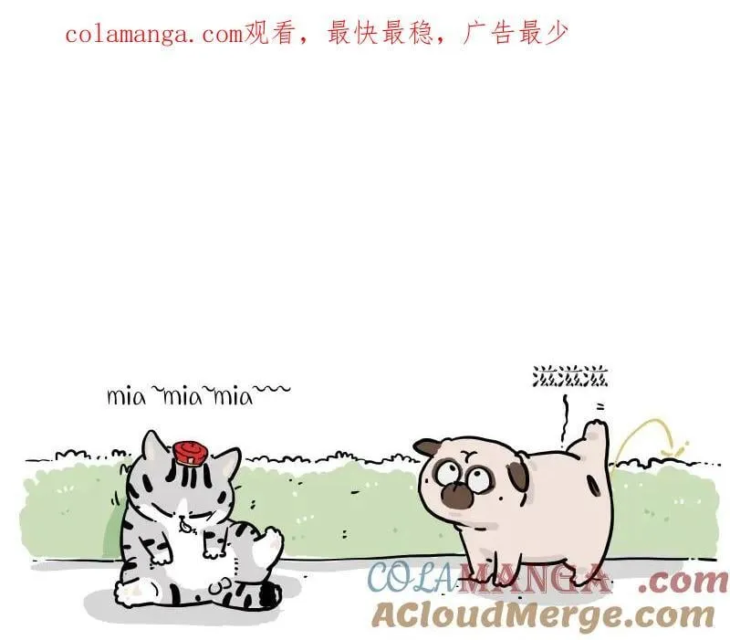 第424话 话痨小猫 第1页