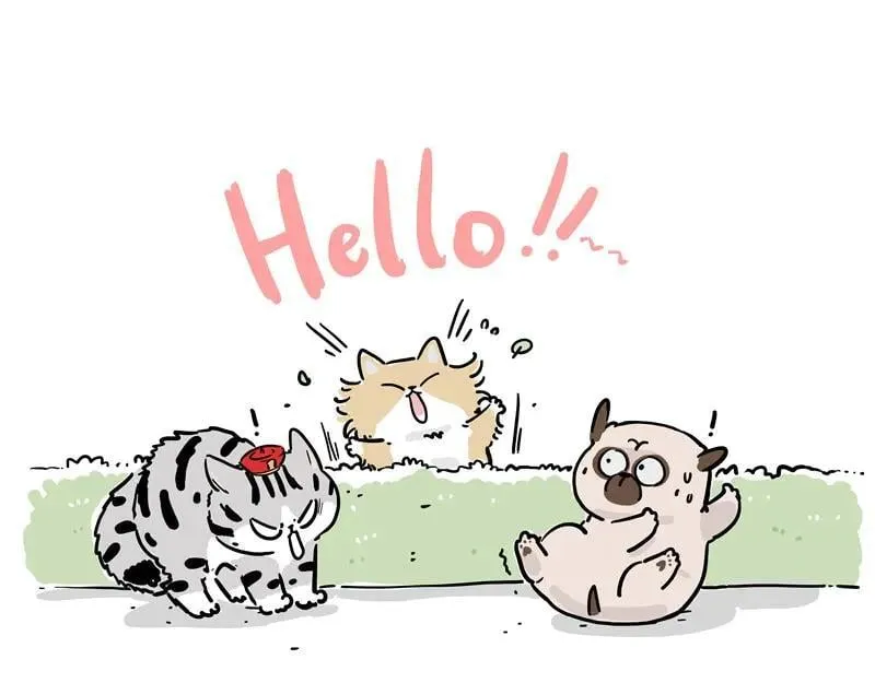 第424话 话痨小猫 第3页