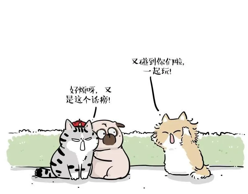 第424话 话痨小猫 第5页