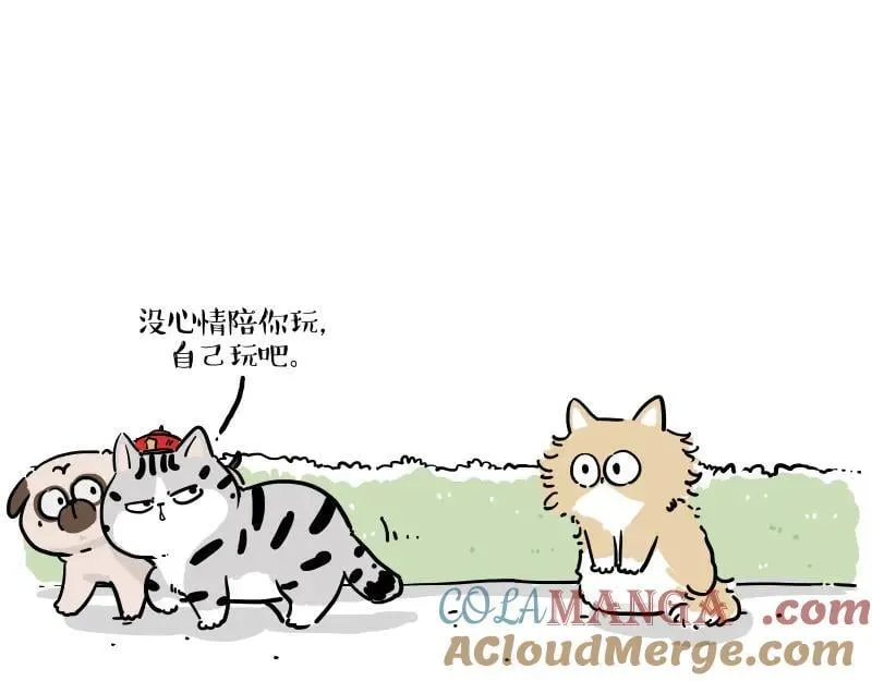 第424话 话痨小猫 第7页
