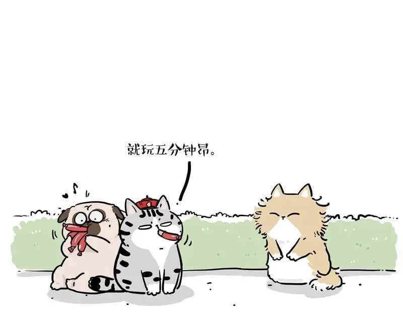 第424话 话痨小猫 第11页