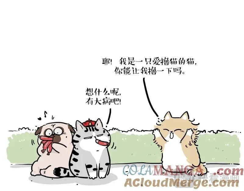 第424话 话痨小猫 第13页