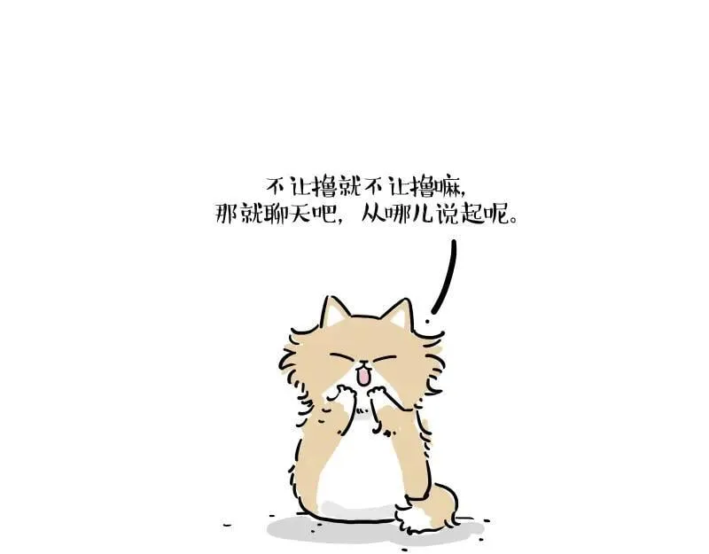 第424话 话痨小猫 第15页