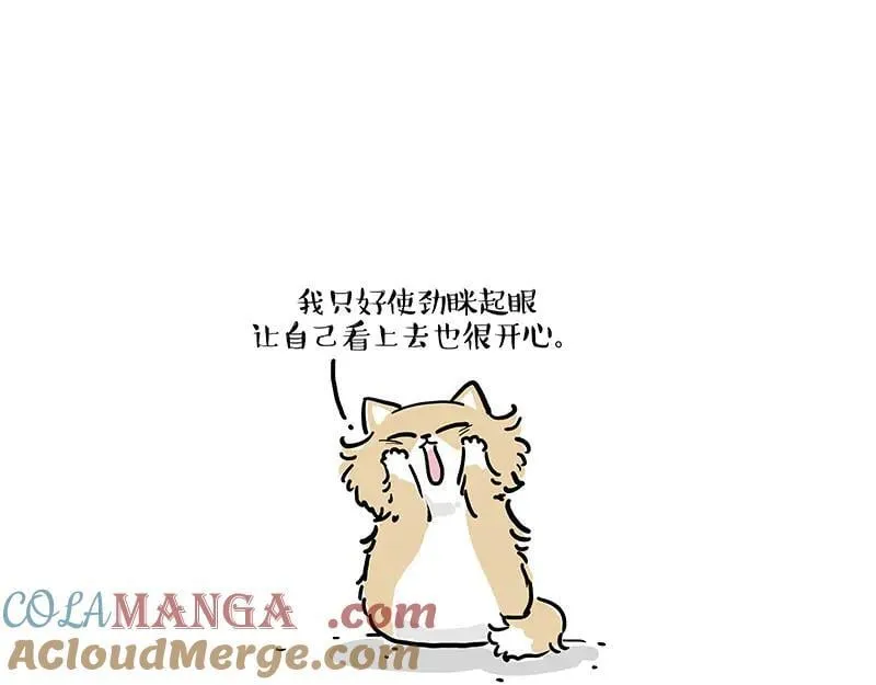 第424话 话痨小猫 第19页