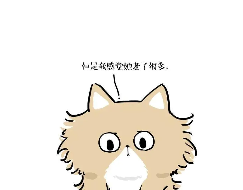 第424话 话痨小猫 第29页