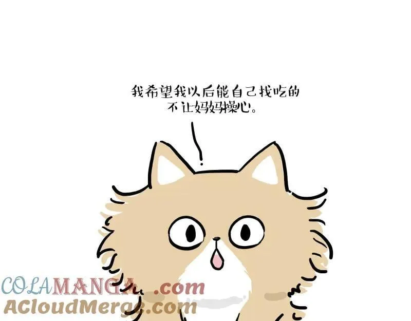 第424话 话痨小猫 第31页