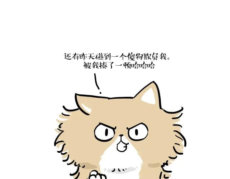 第424话 话痨小猫 第35页