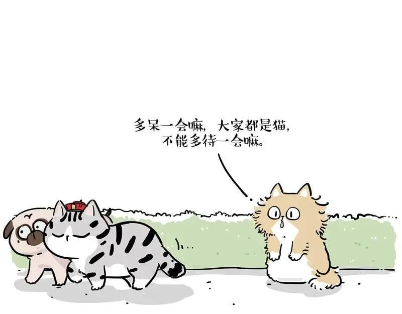 第424话 话痨小猫 第39页