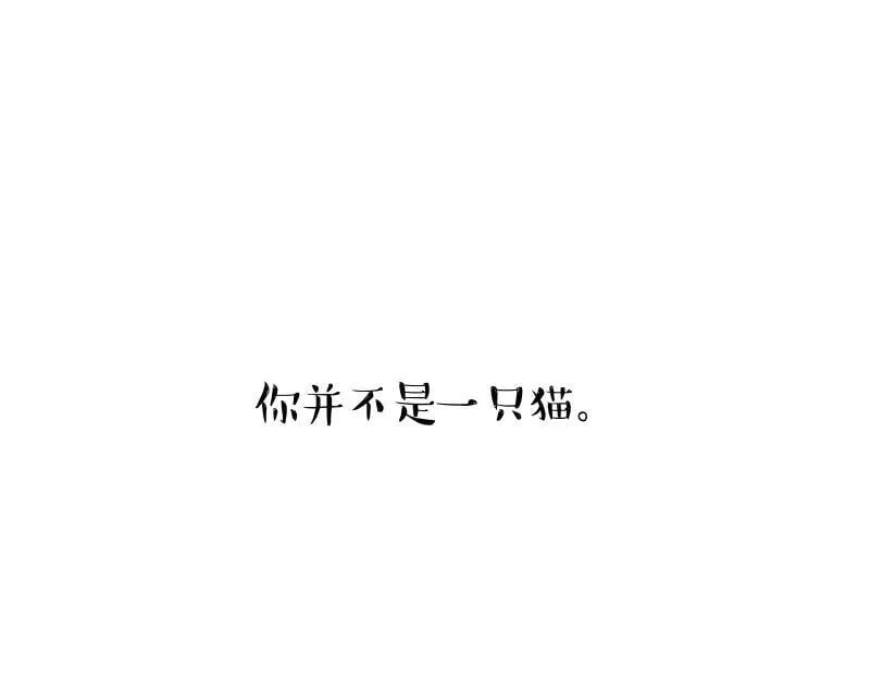 第424话 话痨小猫 第45页