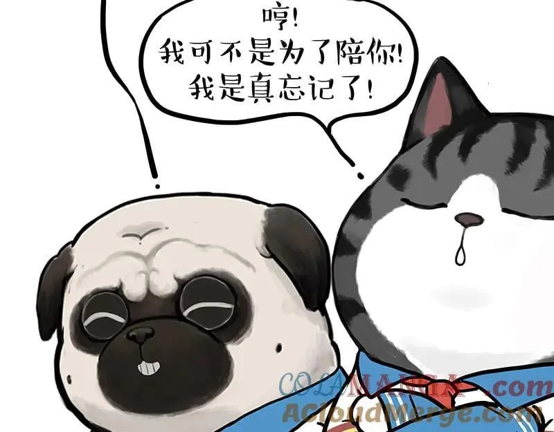 第428话 忘带了 第13页
