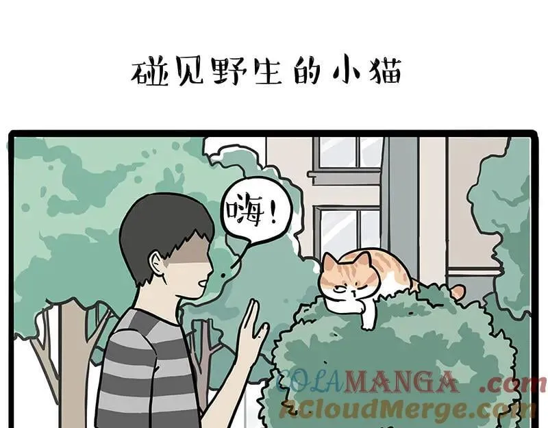 第429话 偷感 第15页