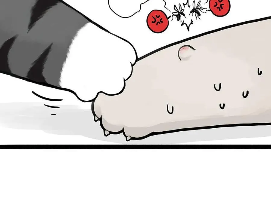 第433话 驱蚊妙计 第3页