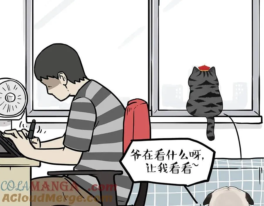 第434话 看什么呢 第15页