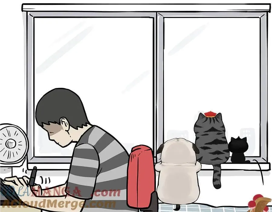 第434话 看什么呢 第19页