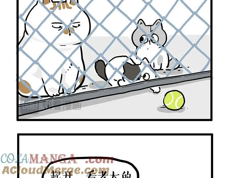 第439话 老大倒下了！ 第5页
