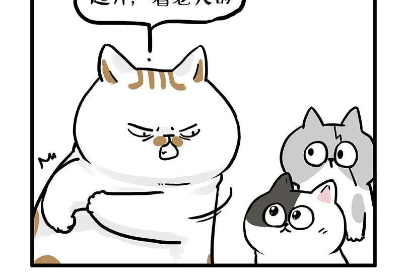 第439话 老大倒下了！ 第6页