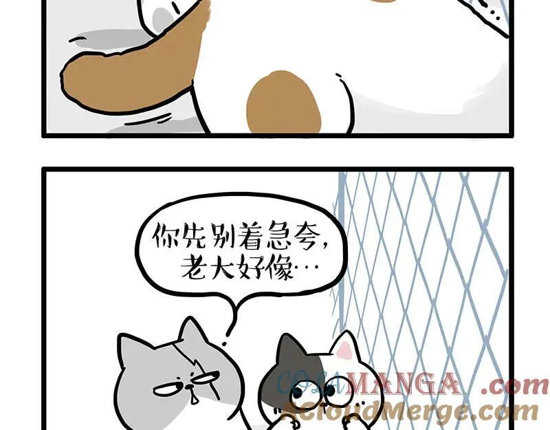 第439话 老大倒下了！ 第9页