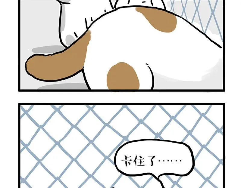 第439话 老大倒下了！ 第10页