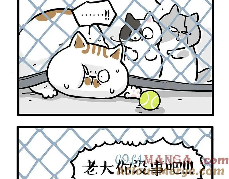 第439话 老大倒下了！ 第11页