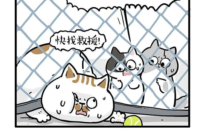 第439话 老大倒下了！ 第12页