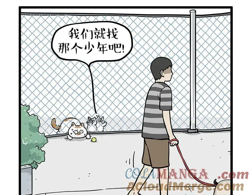 第439话 老大倒下了！ 第13页
