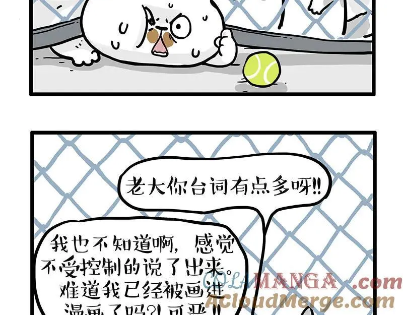 第439话 老大倒下了！ 第15页