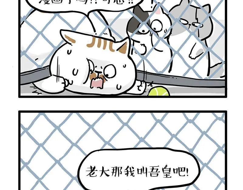 第439话 老大倒下了！ 第16页