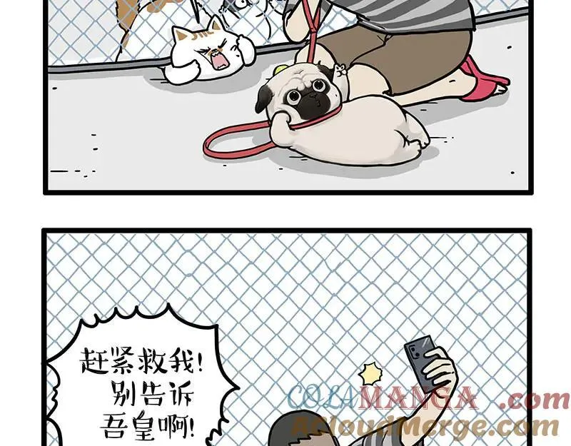 第439话 老大倒下了！ 第21页