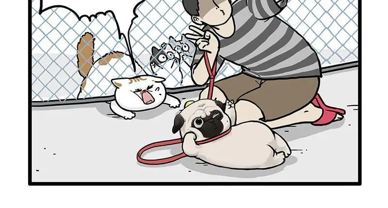 第439话 老大倒下了！ 第22页