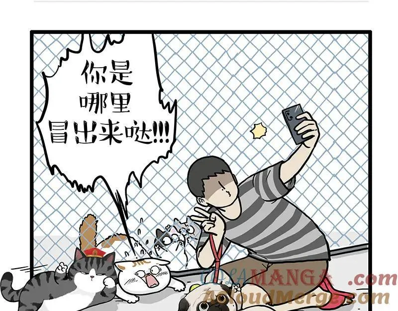 第439话 老大倒下了！ 第23页