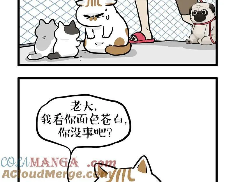 第439话 老大倒下了！ 第25页