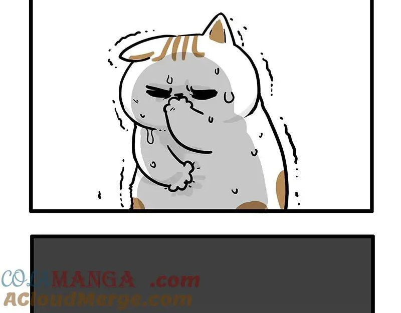 第439话 老大倒下了！ 第27页