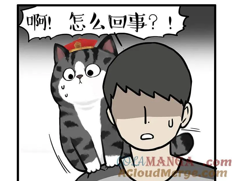 第439话 老大倒下了！ 第29页