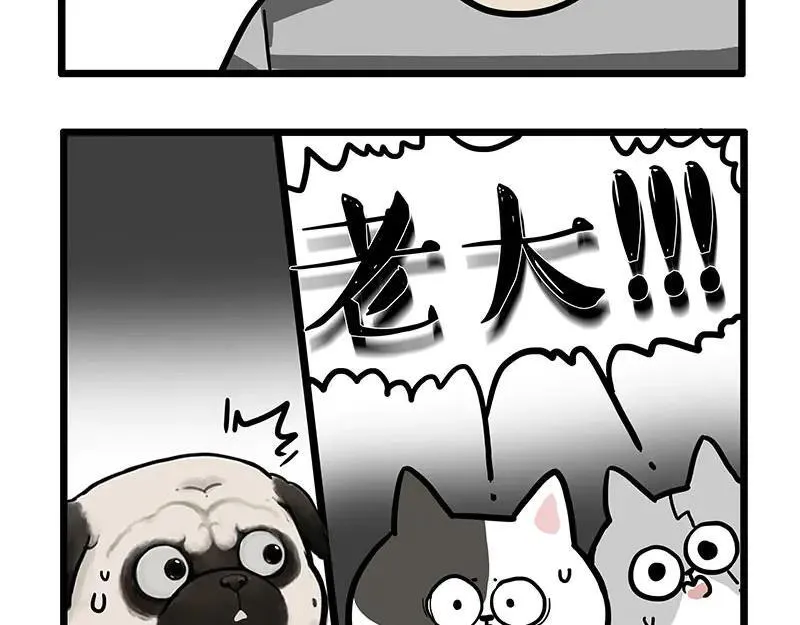 第439话 老大倒下了！ 第30页