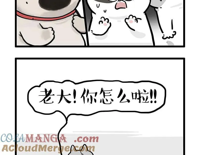 第439话 老大倒下了！ 第31页