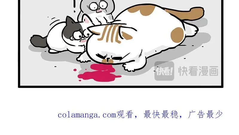 第439话 老大倒下了！ 第32页