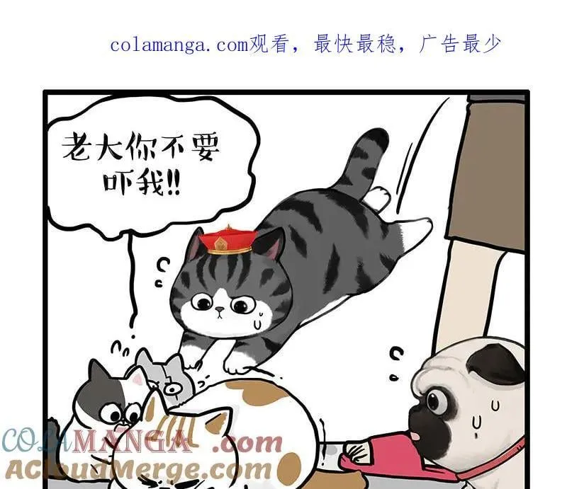 第440话 不要开这种玩笑 第1页