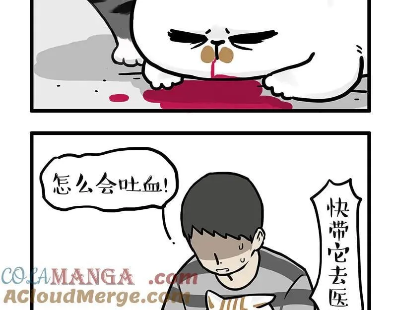 第440话 不要开这种玩笑 第3页