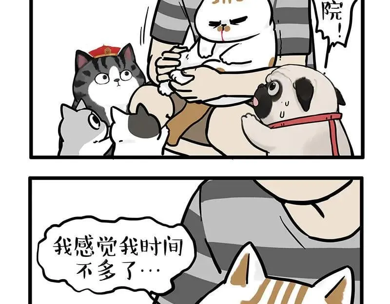 第440话 不要开这种玩笑 第4页