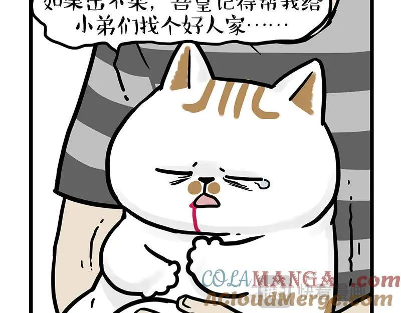 第440话 不要开这种玩笑 第7页