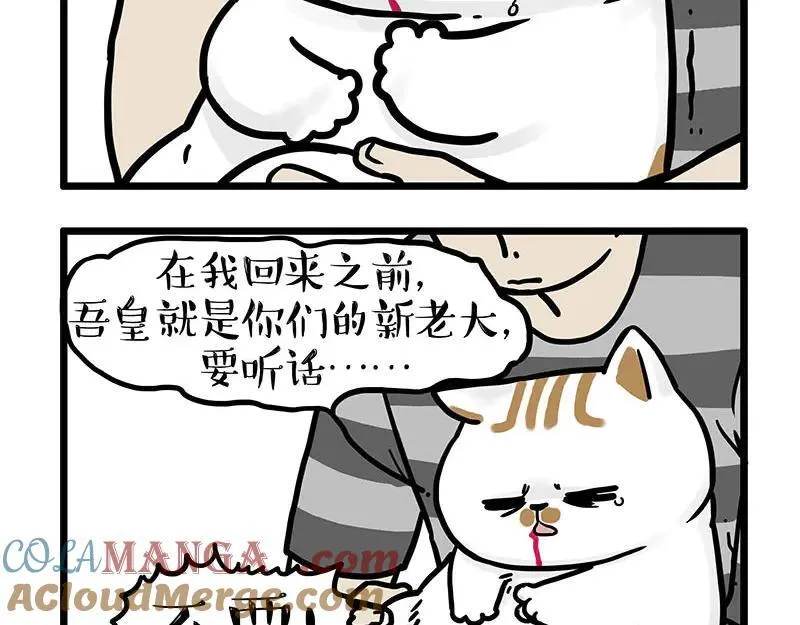 第440话 不要开这种玩笑 第11页