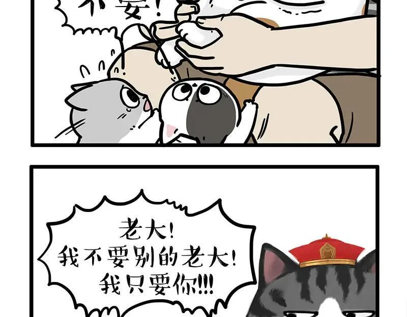 第440话 不要开这种玩笑 第12页