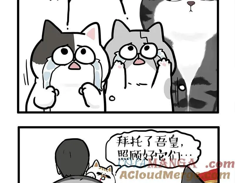 第440话 不要开这种玩笑 第13页